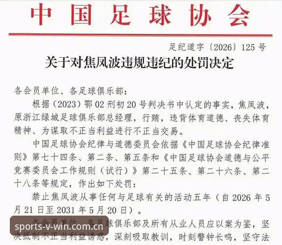 足协第三批禁足名单解读指南——德赢VWIN体育带你看清中国足球的“清扫行动”
